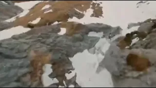 تحميل اغنيه عصام صاصا اغاني عصام صاصا 