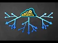 Integer Programming - Branch Bound
