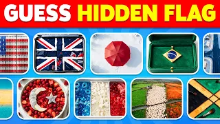 Guess 50 Hidden Flags by ILLUSION 🤔👀🚩 Ultimate Flag Quiz