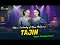 Download Lagu Niken Salindry feat. Rina Aditama - Tajin - Kembar Campursari ( Official Music Video )