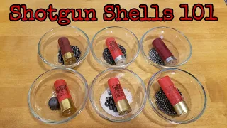 Download Shotgun Shells 101 MP3