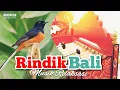 Lagu Rindik Bali Keren Diiringi Suara Burung Merdu Untuk Menenangkan Pikiran