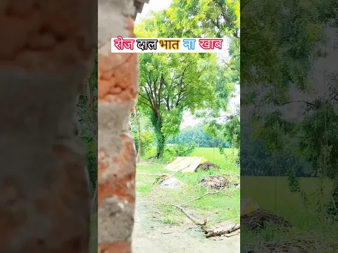 जब देखा तब #दाल भात- #दाल भात ना खाब #खाना 🤪😘😰😎 Aman comedy show 2139🙏🙏🙏🙏🚩