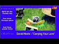 David Morris - "Carrying Your Love" (Official Lyric Visualizer)