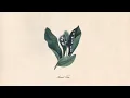 Snoh Aalegra - Sweet Tea (Visualizer)