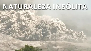 NATURALEZA INSÓLITA | Fenómenos naturales que No parecen reales