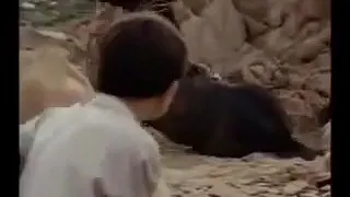دور على صاحبك دندنها
