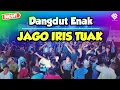 Lagu JAGO IRIS TUAK || Dangdut Enak 2024 || REMIX VIRAL TERBARU