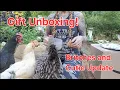 Gifts and Updates on Cutie and Britches