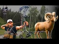 Total Archery Challenge Utah