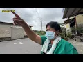 Download Lagu Sulastri 15 ke pasar dikira orang taiwan ‼️ Pohon pisangnya inces rungkad semua 😭, Tkw Taiwan . 
