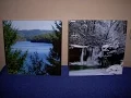 Zazzle Ceramic Tiles Product Review
