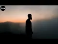 Антитіла - Одинак