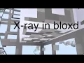 xray bloxd