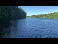 West Hartford MDC Reservoir 6 - Geese