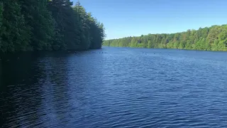West Hartford MDC Reservoir 6 - Geese