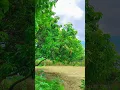 Download Lagu na jami hogi na to Gagan hoga#nature #bollywood #song #viralvideo #shortvideo