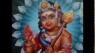 vel muruga vel muruga vel song dolphin ramanathan collection
