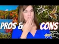 Pros Cons of Living in North Georgia