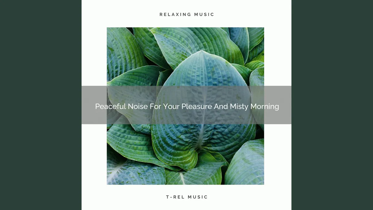Peaceful Noise For Your Pleasure And Mega Rest