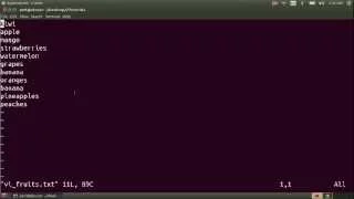 Visual Mode in vi Vim vi for beginners Part 7