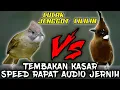 Download Lagu 🔴MASTERAN MEWAH KASAR DAN RAPAT || CILILIN || CUCAK JENGGOT