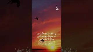 الحمد لله فاطر السموات والأرض جاعل الملائكة رسلآ أولى أجنحة مثنى وثلاث ورباع الشيخ محمد أيوب 