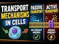 Transport Mechanisms in Cells Made Easy Passive Active Transport Explained