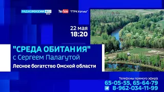 «Среда обитания», лесное богатство Омской области