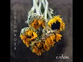 Malignant - Citadel