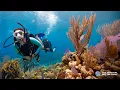 Download Lagu Learn to Scuba Dive - PADI Open Water Diver Course