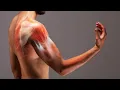 Tenotomy CPT code - simplify medical coding