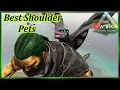 TOP 7 Best Shoulder Pets in Ark Survival Evolved