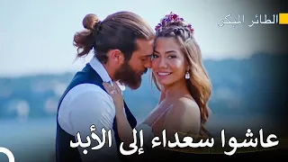 رحلة سينام للعثور على الحب 136 سلسل الطائر المبكر 