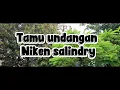 Niken salindry~Tamu Undangan (Reggae)..... 