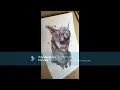 Yorkshire pig drawing process