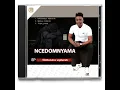 Download Lagu Ngilwa ne mpilo