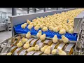 How Millions of Chicks Are Born Every Day Inside the Largest Hatchery
