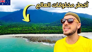سافرت أخطر ولاية في أستراليا أشياء ممكن تقتلك لو رحت 