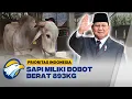 Download Lagu Presiden Prabowo Pilih Sapi Lokal Kediri untuk Kurban IdulAdha 2025 - [Prioritas Indonesia]