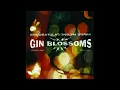 Gin Blossoms - Follow You Down