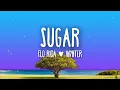 Download Lagu Flo Rida - Sugar (feat. Wynter) Lyrics