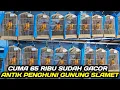 Lagu MEWAH ASLI HUTAN HARGA 65 RIBU SUDAH GACOR PENGHUNI GUNUNG SLAMET JAWA TENGAH