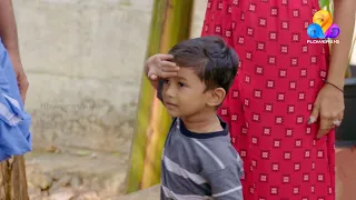 chakkappazham flowers ep 185