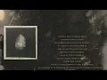 Raste ft. Furelise - Different League (Official Lyric Video) [Trap Card] Ep