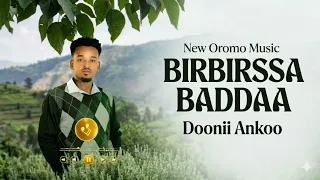 doonii ankoo birbirsaa baddaa new oromoo music offical video 2026 