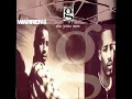 Do You See (clean version) - Warren G