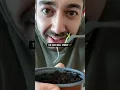 How to grow oranges | creative explained