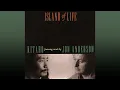 Download Lagu Kitaro + Jon Anderson - Island Of Life (Short Radio Edit)