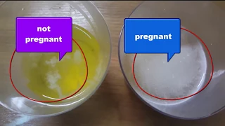 a homemade pregnancy test with salt